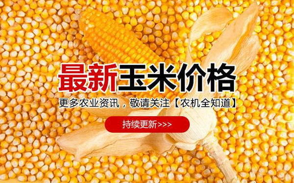 最新玉米报价与影响因素深度解析