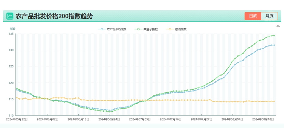 2024年12月15日 第19页