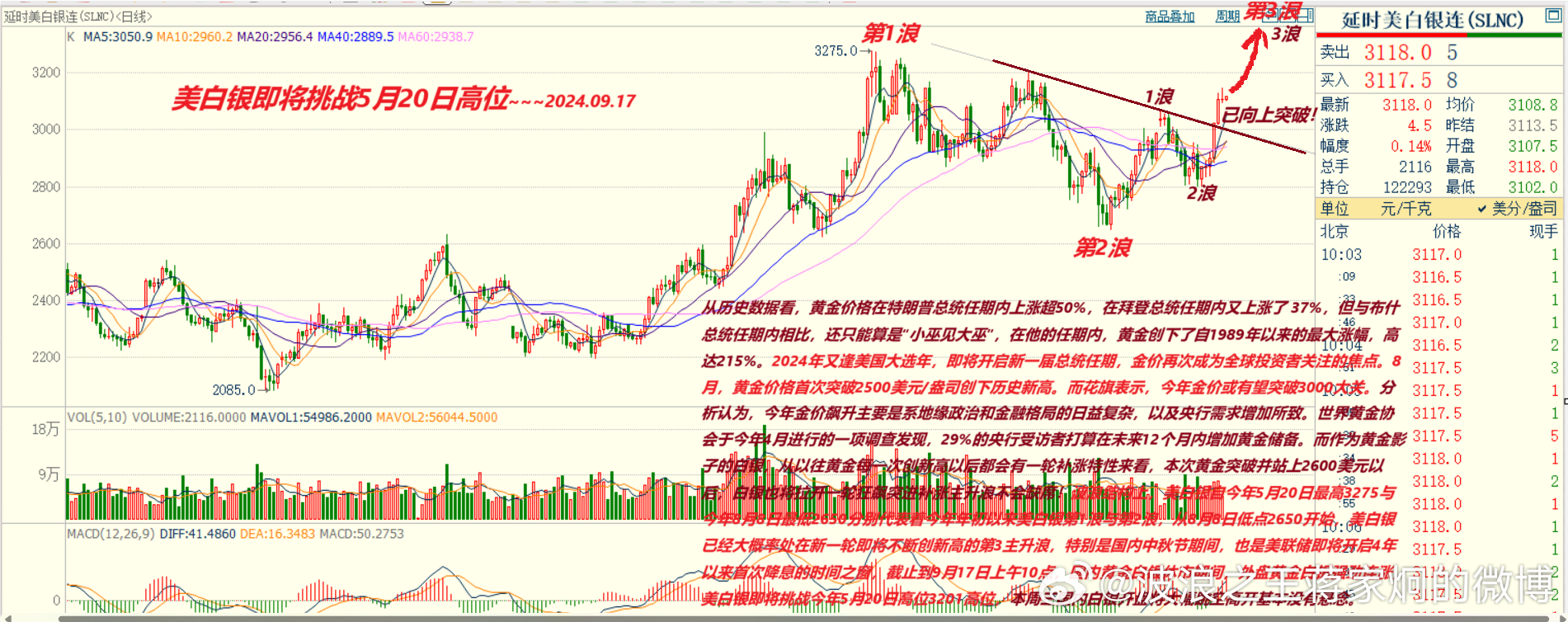 白小姐红虎网,稳定性策略解析_10DM194.482