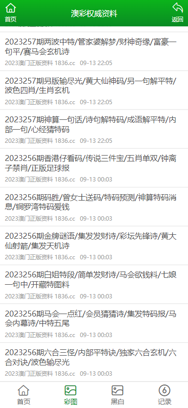 2024年澳门天天开好彩正版资料,高效分析说明_tool82.756