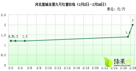 河北红薯价格最新行情解析