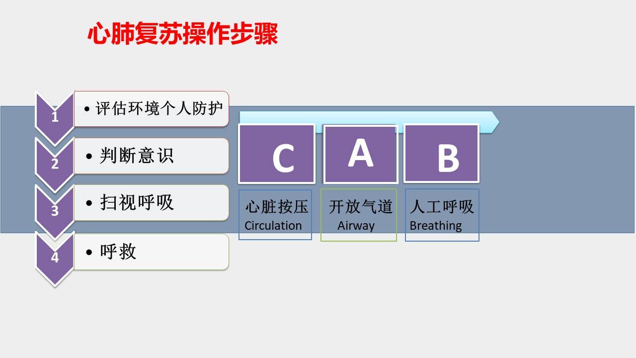 2024年12月19日 第2页