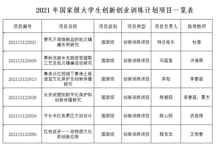 最新创业新项目，探索前沿科技领域，开启新机遇之门