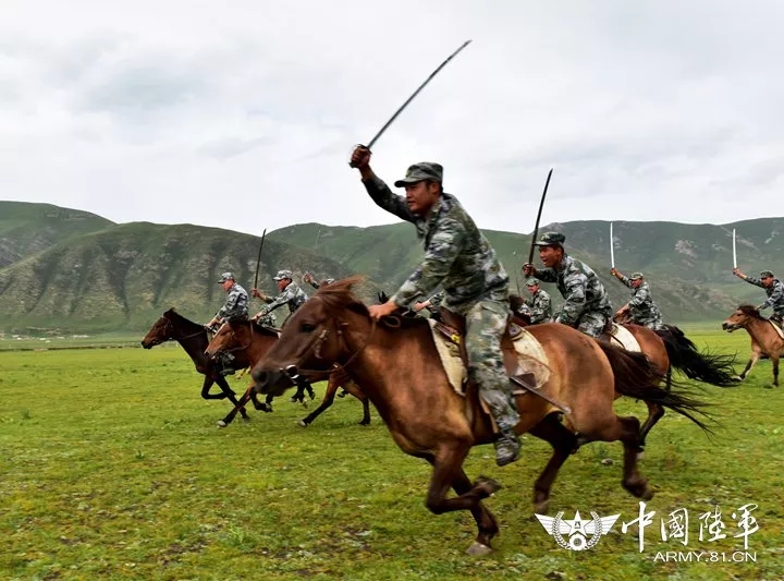 最新在线骑兵区，探索、发展与挑战的新篇章