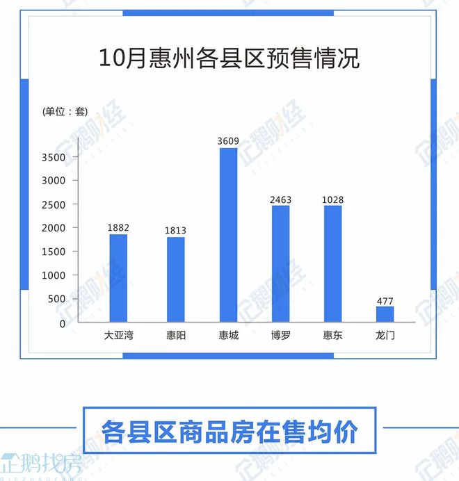 惠州楼盘房价最新动态，市场走势及影响因素深度解析