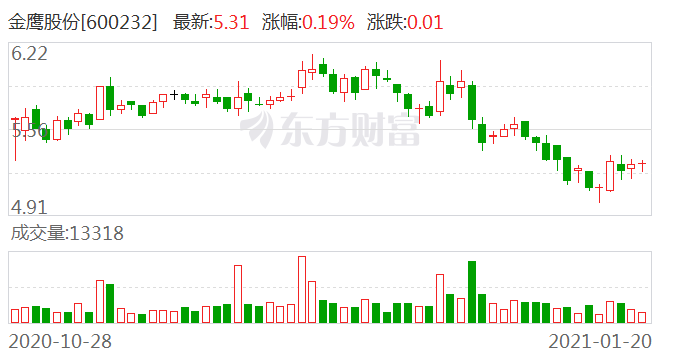 金鹰股份引领行业变革，共创辉煌未来