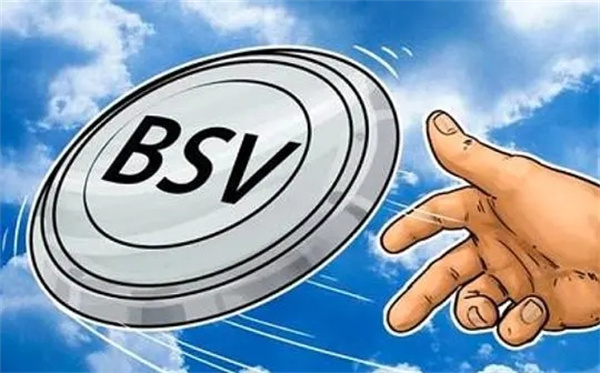 BSV最新价格动态与市场趋势深度解析