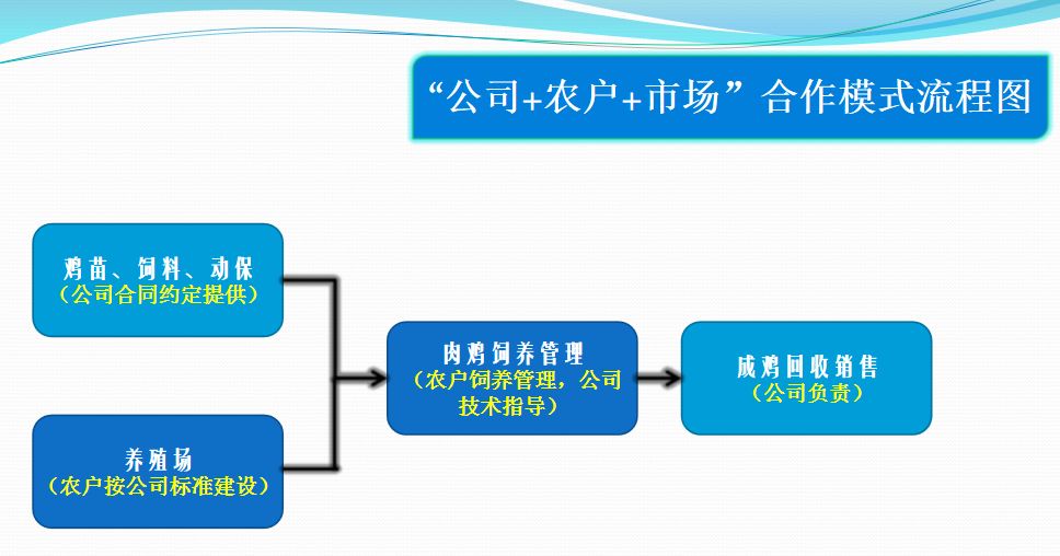 最新饲料营销模式，探索与创新之道