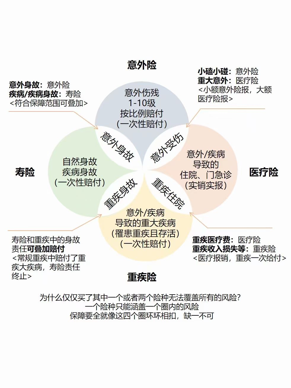 人寿保险最新险种，拥抱安心未来，全面保障生活风险